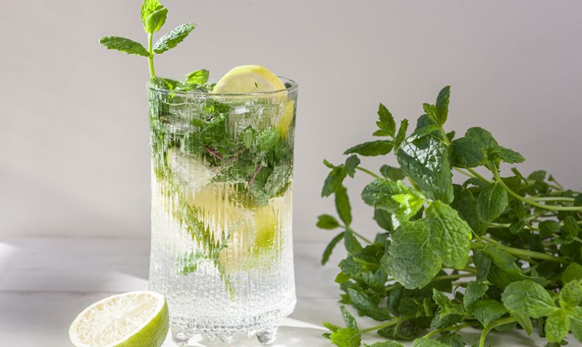 Raikas mojito